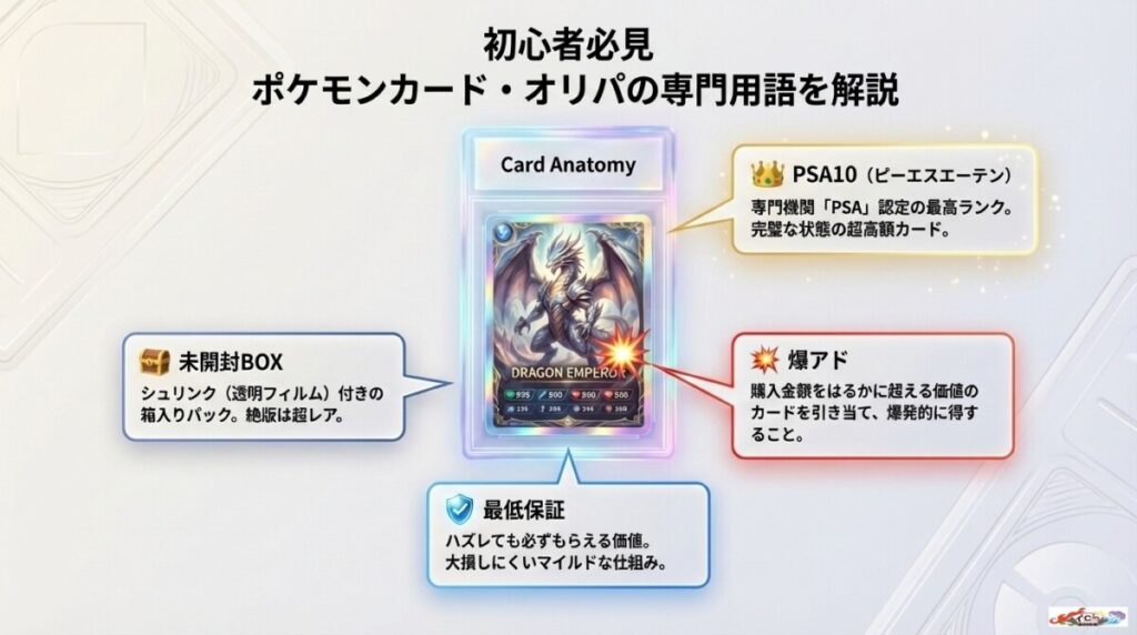 還元率や爆アドとは？初心者が知るべきポケモンカード・オリパの仕組み【専門用語を解説】