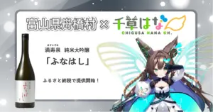 舞妓さんと花見小路通　SA ふるさと納税返礼品　2025年　激レア　値下げ不可 す*ず様 舞妓さんと花見小路通 SA ふるさと納税返礼品 2025