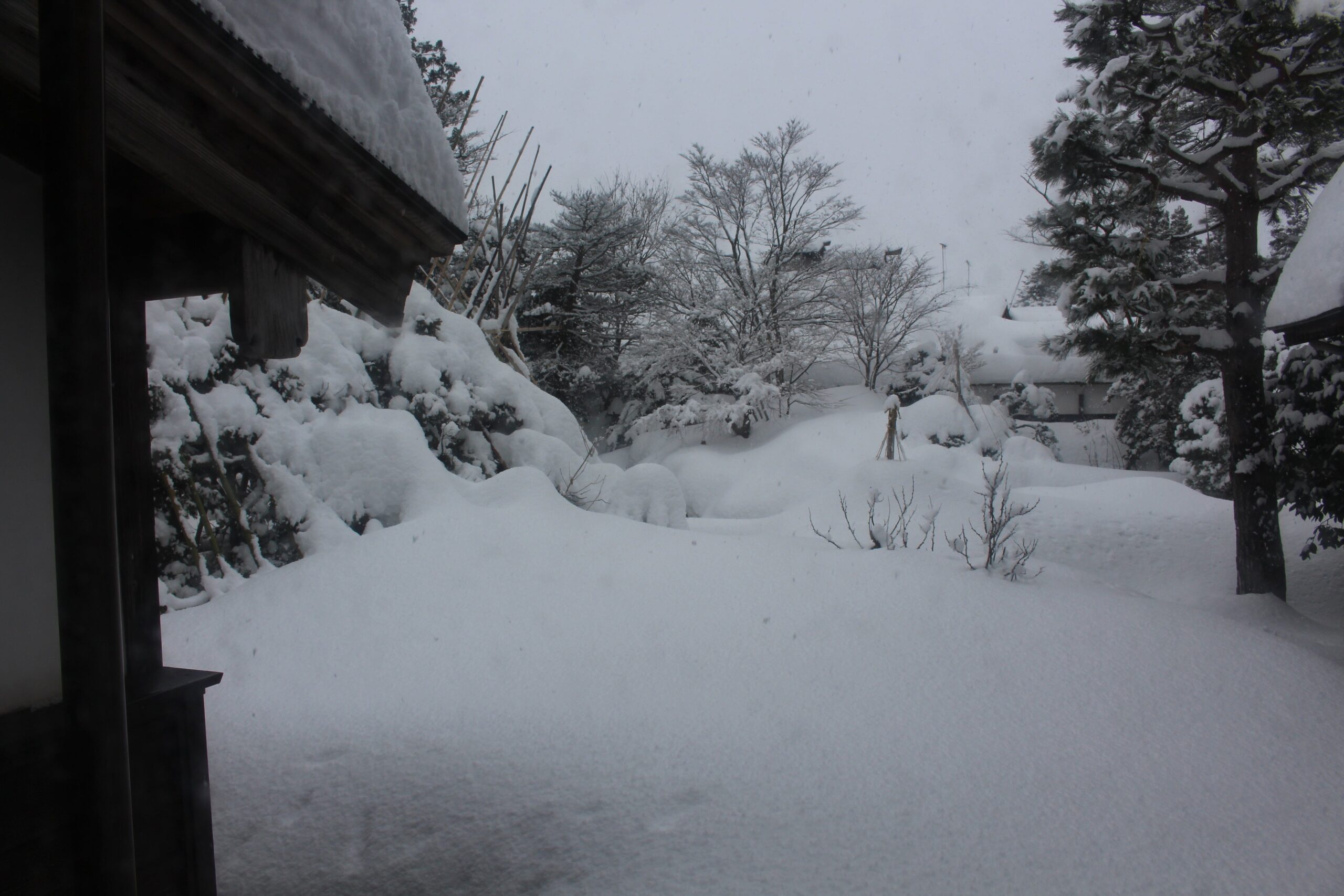 懐石弁当とお茶