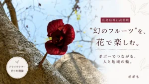 GIANNA BOYFRIEND チェキ 石沢瑠架 推し活ふるさと納税】ひこにゃんと滋賀県出身メンズアイドル 石沢瑠架